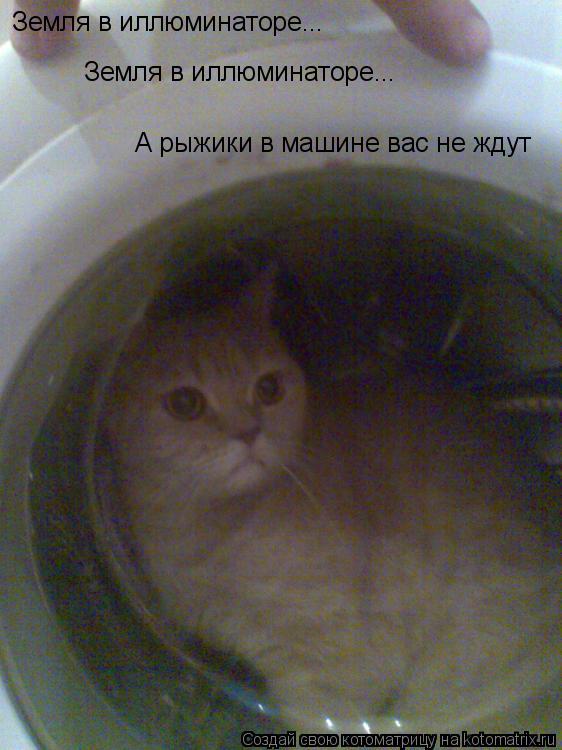 Котоматрица: Земля в иллюминаторе... Земля в иллюминаторе... А рыжики в машине вас не ждут