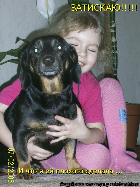 Котоматрица: И что я ей плохого сделала ... ЗАТИСКАЮ!!!!!