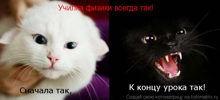 Котоматрица: Училка физики всегда так! Сначала так, К концу урока так!