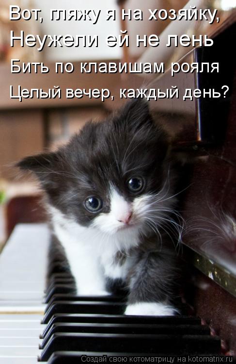 Котоматрица: Вот, гляжу я на хозяйку, Неужели ей не лень Бить по клавишам рояля Целый вечер, каждый день?