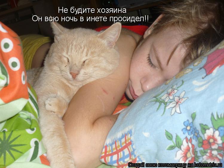 Котоматрица: Не будите хозяина Он всю ночь в инете просидел!!