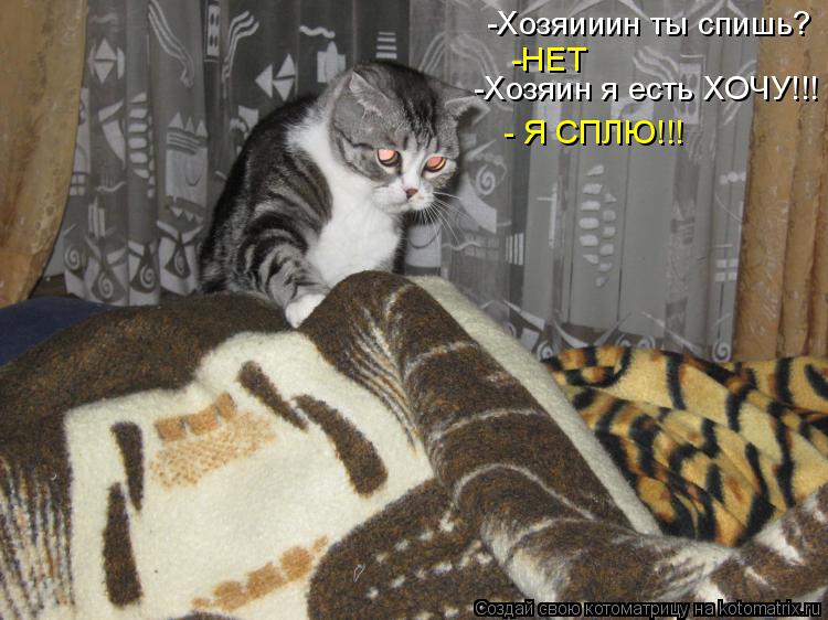 Котоматрица: -Хозяииин ты спишь?  -НЕТ  -Хозяин я есть ХОЧУ!!!  - Я СПЛЮ!!!