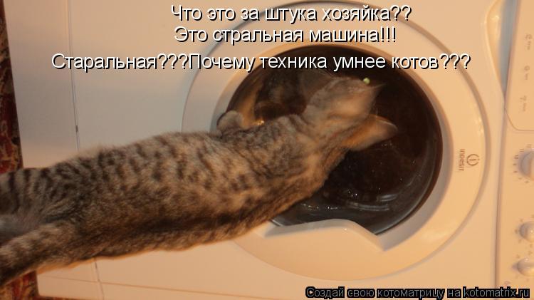 Котоматрица: Что это за штука хозяйка?? Это стральная машина!!! Старальная???Почему техника умнее котов???
