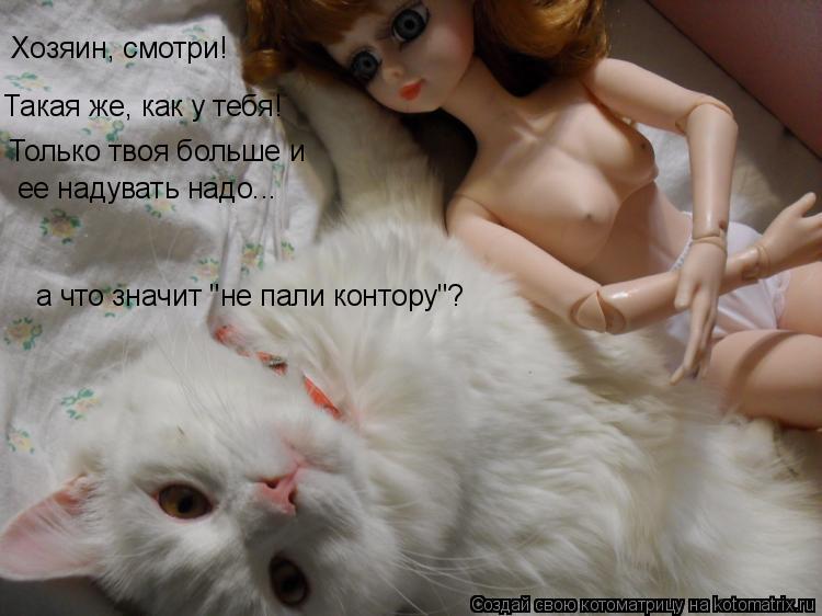Котоматрица: Хозяин, смотри! Такая же, как у тебя! Только твоя больше и ее надувать надо... а что значит "не пали контору"?
