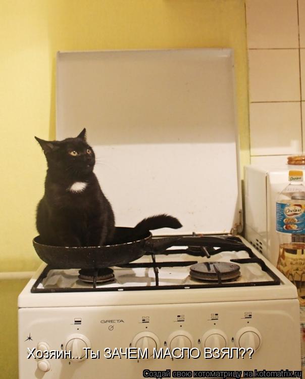 Котоматрица: Хозяин...Ты ЗАЧЕМ МАСЛО ВЗЯЛ??