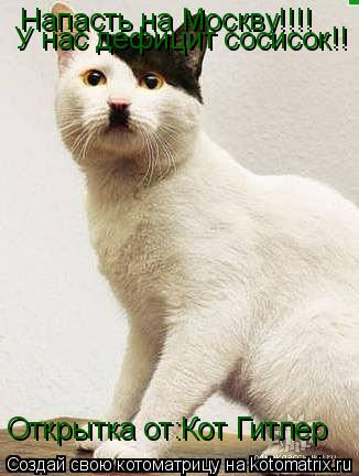 Котоматрица: Напасть на Москву!!!! У нас дефицит сосисок!! Открытка от:Кот Гитлер