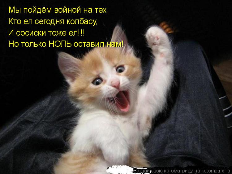 Котоматрица: Мы пойдём войной на тех, Кто ел сегодня колбасу, И сосиски тоже ел!!! Но только НОЛЬ оставил нам!