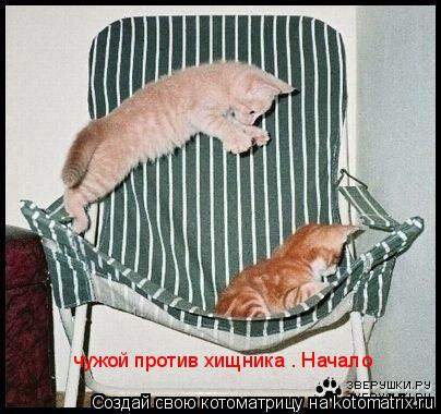 Котоматрица: чужой против хищника . Начало