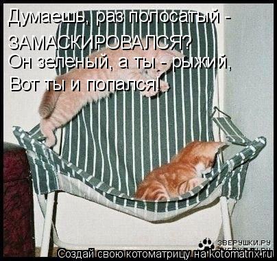 Котоматрица: Думаешь, раз полосатый -  ЗАМАСКИРОВАЛСЯ? Он зеленый, а ты - рыжий, Вот ты и попался!