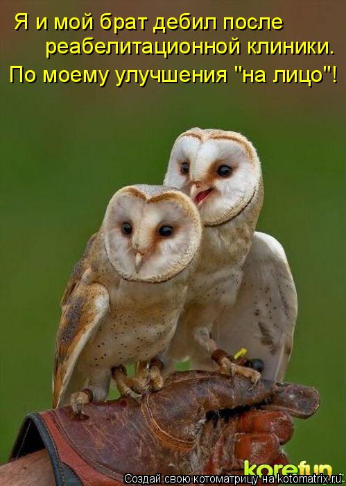 Котоматрица: Я и мой брат дебил после  реабелитационной клиники. По моему улучшения "на лицо"!
