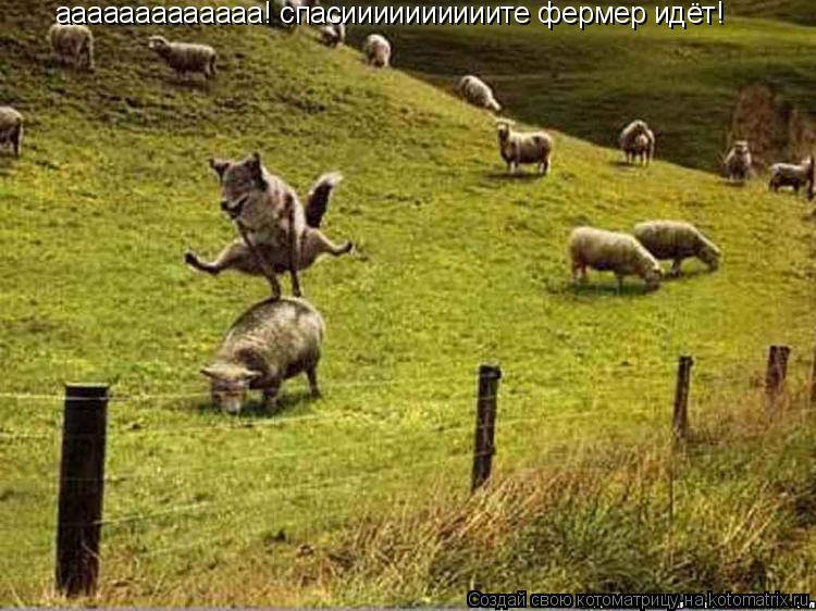 Котоматрица: ааааааааааааа! спасиииииииииите фермер идёт!