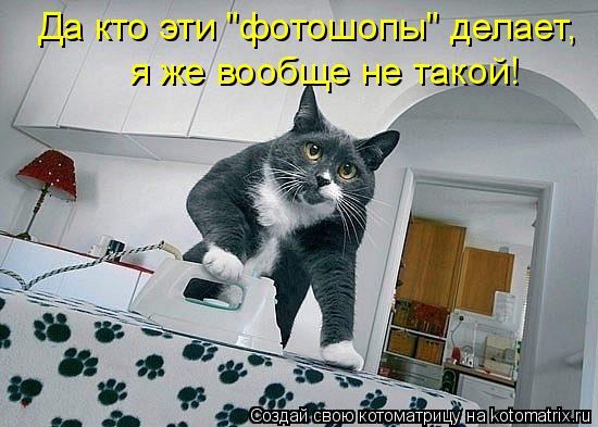 Котоматрица: Да кто эе Да кто эе Да кто эти "фотошопы" делает, я же вообще не такой!