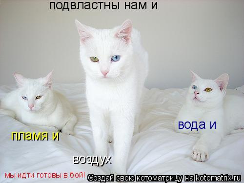 подвластны нам и пламя и вода и воздух мы идти готовы в бой!... Котоматрица: подвластны нам и пламя и вода и воздух мы идти готовы в бой!