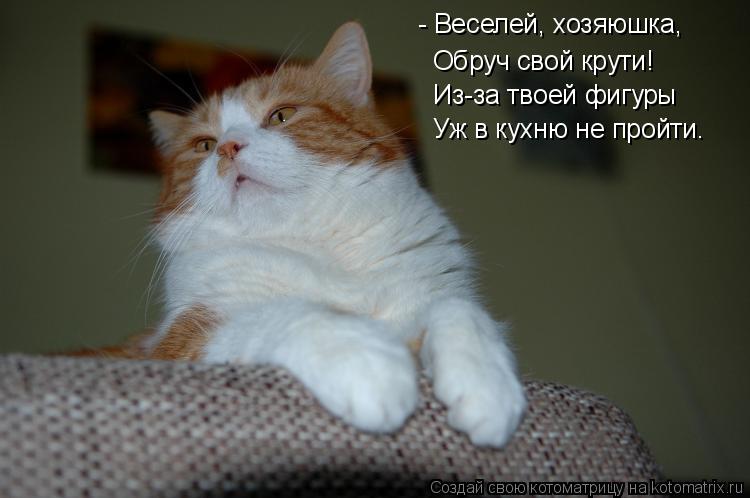 - Веселей, хозяюшка, Обруч свой крути! Из-за твоей фигуры Уж в кухню не пройти…... Котоматрица: - Веселей, хозяюшка, Обруч свой крути! Из-за твоей фигуры Уж в кухню не пройти…