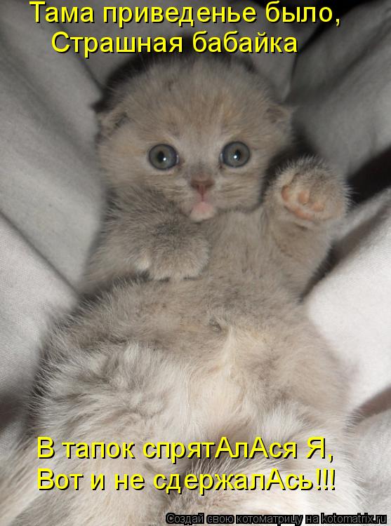 Котоматрица: Тама приведенье было, Страшная бабайка В тапок спрятАлАся Я, Вот и не сдержалАсь!!!