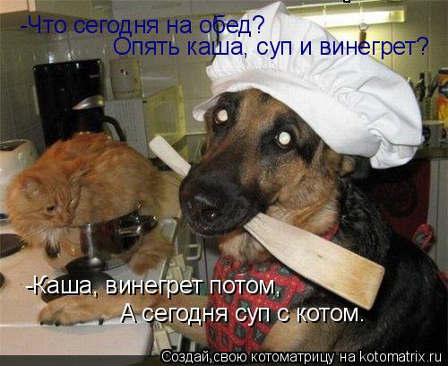 Котоматрица: -Что сегодня на обед? Опять каша, суп и винегрет?  -Каша, винегрет потом, А сегодня суп с котом.