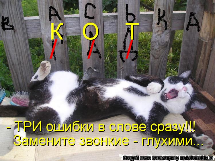 Котоматрица: - ТРИ ошибки в слове сразу!!! /    /    / К   О    Т Замените звонкие - глухими...