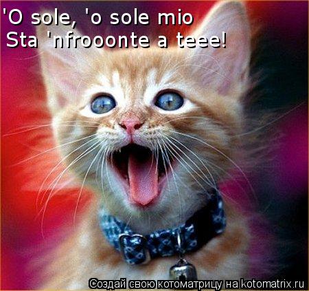 Котоматрица: 'O sole, 'o sole mio Sta 'nfrooonte a teee!