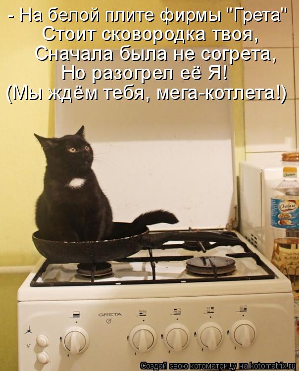 Котоматрица: - На белой плите фирмы "Грета" Стоит сковородка твоя, Сначала была не согрета, Но разогрел её Я! (Мы ждём тебя, мега-котлета!)