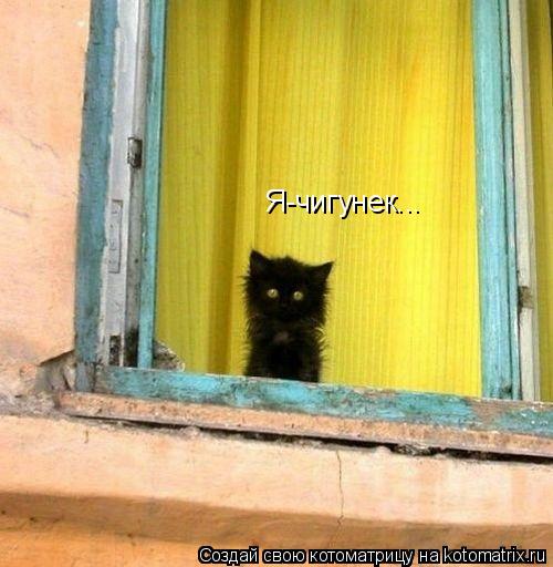 Котоматрица: Я-чигунек...