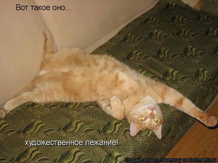Котоматрица: Вот такое оно... художественное лежание!