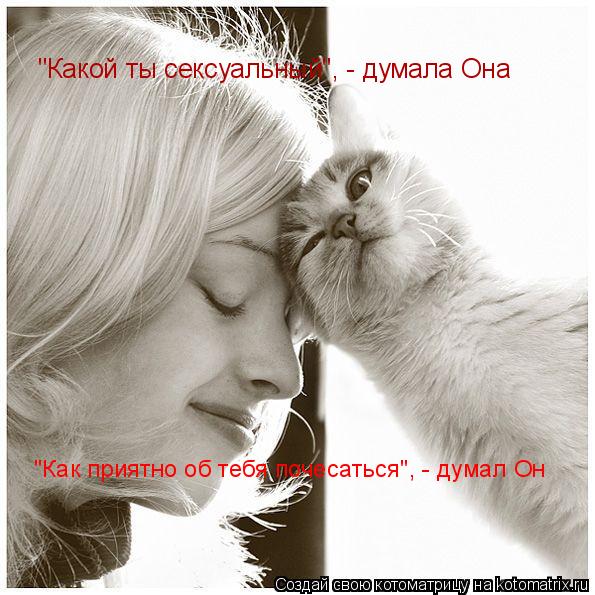 Котоматрица: "Какой ты сексуальный", - думала Она "Как приятно об тебя почесаться", - думал Он