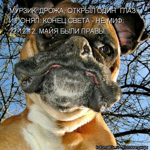 Котоматрица: МУРЗИК, ДРОЖА, ОТКРЫЛ ОДИН  ГЛАЗ... И ПОНЯЛ: КОНЕЦ СВЕТА - НЕ МИФ: 22.12.12, МАЙЯ БЫЛИ ПРАВЫ...