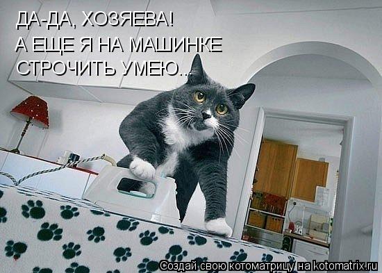 Котоматрица: ДА-ДА, ХОЗЯЕВА! А ЕЩЕ Я НА МАШИНКЕ СТРОЧИТЬ УМЕЮ...