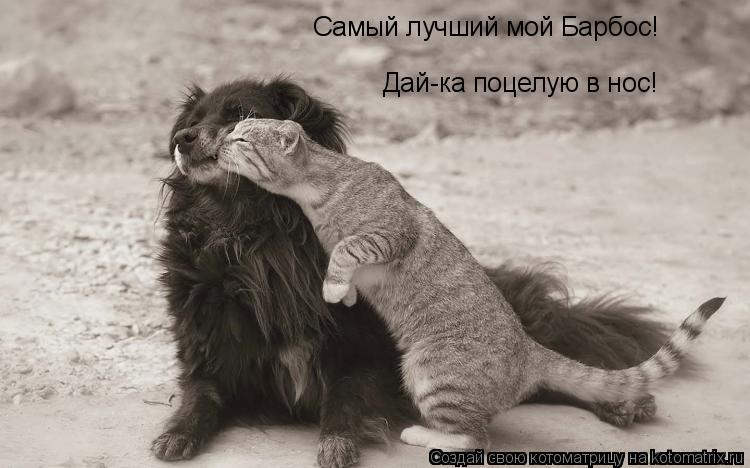 Котоматрица: Самый лучший мой Барбос! Дай-ка поцелую в нос!