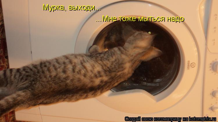 Котоматрица: Мурка, выходи... ...Мне тоже мыться надо