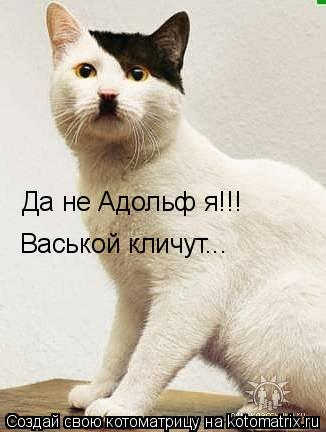 Котоматрица: Да не Адольф я!!! Васькой кличут...