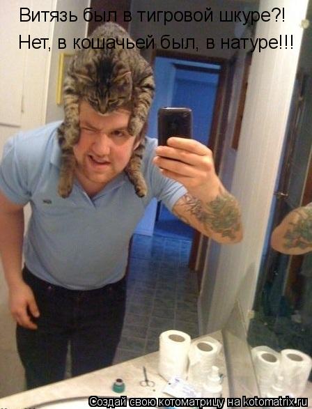Котоматрица: Витязь был в тигровой шкуре?! Нет, в кошачьей был, в натуре!!!