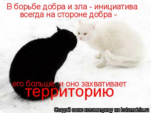 Котоматрица: В борьбе добра и зла - инициатива  всегда на стороне добра - его больше, и оно захвативает территорию