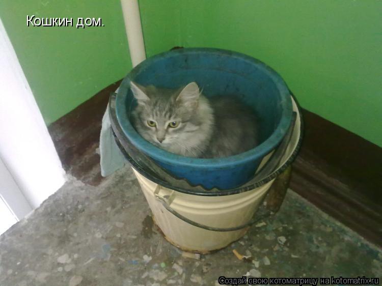 Кошкин дом.... Котоматрица: Кошкин дом.