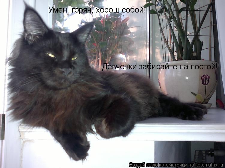 Умен, горяч, хорош собой! Девчонки забирайте на постой!... Котоматрица: Умен, горяч, хорош собой! Девчонки забирайте на постой!