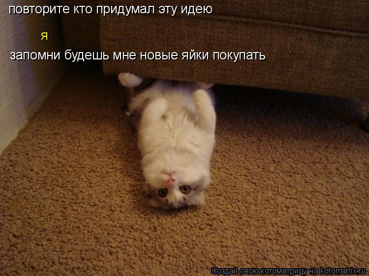 повторите кто придумал эту идею я запомни будешь мне новые яйки покупать... Котоматрица: повторите кто придумал эту идею я запомни будешь мне новые яйки покупать