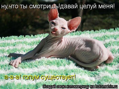ну,что ты смотришь!давай целуй меня! а-а-а! голум существует!... Котоматрица: ну,что ты смотришь!давай целуй меня! а-а-а! голум существует!