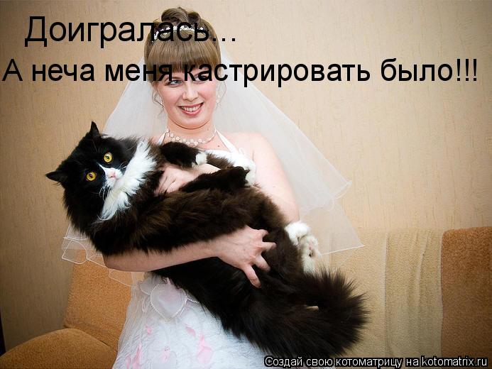 Доигралась... А неча меня кастрировать было!!!... Котоматрица: Доигралась... А неча меня кастрировать было!!!