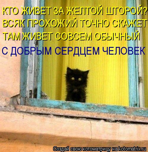 Котоматрица: КТО ЖИВЕТ ЗА ЖЕЛТОЙ ШТОРОЙ?  ВСЯК ПРОХОЖИЙ ТОЧНО СКАЖЕТ ТАМ ЖИВЕТ СОВСЕМ ОБЫЧНЫЙ С ДОБРЫМ СЕРДЦЕМ ЧЕЛОВЕК