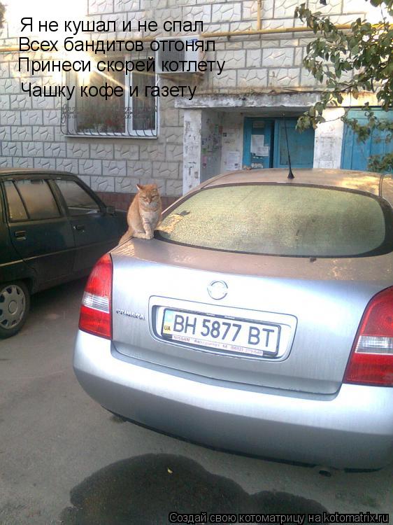 Я не кушал и не спал Всех бандитов отгонял Принеси скорей котлету Чашку кофе и газету Чашку кофе и га... Котоматрица: Я не кушал и не спал Всех бандитов отгонял Принеси скорей котлету Чашку кофе и газету Чашку кофе и газету