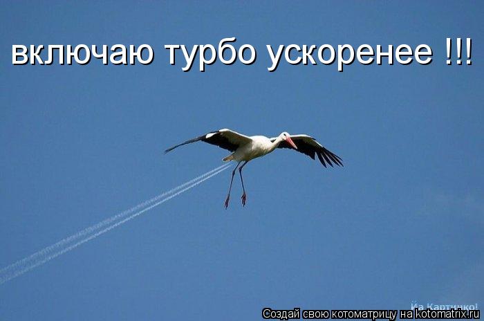 включаю турбо ускоренее !!!... Котоматрица: включаю турбо ускоренее !!!