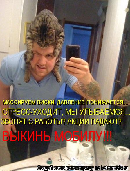 МАССИРУЕМ ВИСКИ, ДАВЛЕНИЕ ПОНИЖАЕТСЯ... СТРЕСС-УХОДИТ, МЫ УЛЫБАЕМСЯ... ЗВОНЯТ С РАБОТЫ? АКЦИИ ПАДАЮТ?... Котоматрица: МАССИРУЕМ ВИСКИ, ДАВЛЕНИЕ ПОНИЖАЕТСЯ... СТРЕСС-УХОДИТ, МЫ УЛЫБАЕМСЯ... ЗВОНЯТ С РАБОТЫ? АКЦИИ ПАДАЮТ? ВЫКИНЬ МОБИЛУ!!!