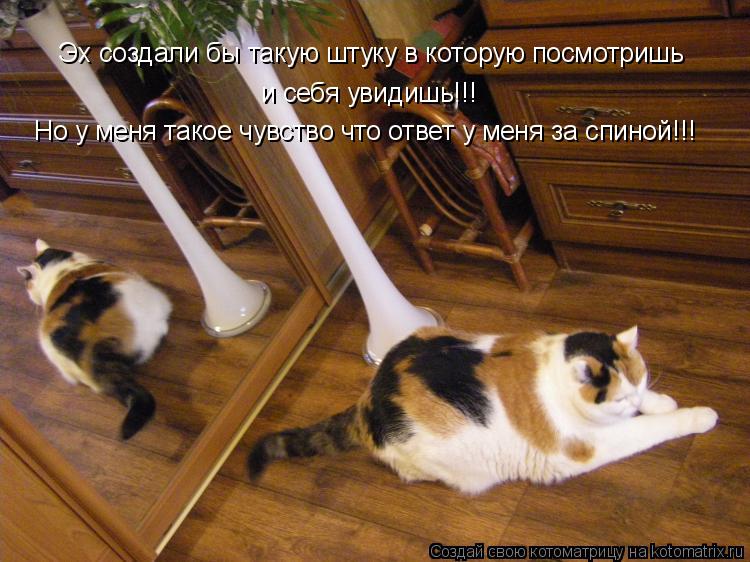 Эх создали бы такую штуку в которую посмотришь и себя увидишь!!! Но у меня такое чувство что ответ у ... Котоматрица: Эх создали бы такую штуку в которую посмотришь и себя увидишь!!! Но у меня такое чувство что ответ у меня за спиной!!!