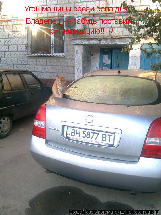 Угон машины среди бела дня!!! Владелец не забудь поставить сигнализацию!!! :)... Котоматрица: Угон машины среди бела дня!!! Владелец не забудь поставить сигнализацию!!! :)