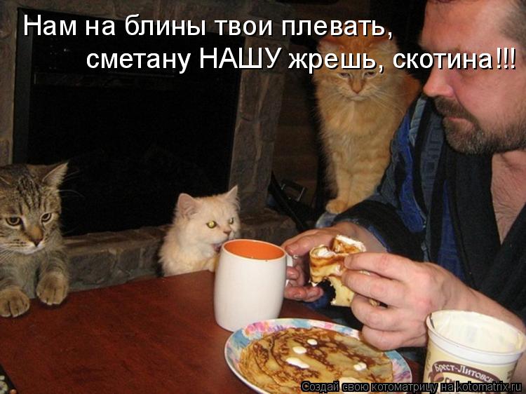 Котоматрица: Нам на блины твои плевать, сметану НАШУ жрешь, скотина!!!  сметану НАШУ жрешь, скотина!!!
