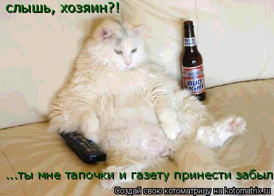 Котоматрица: слышь, хозяин?! ...ты мне тапочки и газету принести забыл
