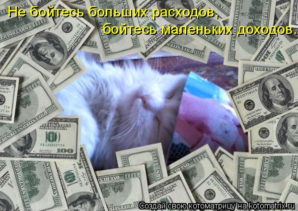 Не бойтесь больших расходов, бойтесь маленьких доходов.... Котоматрица: Не бойтесь больших расходов, бойтесь маленьких доходов.