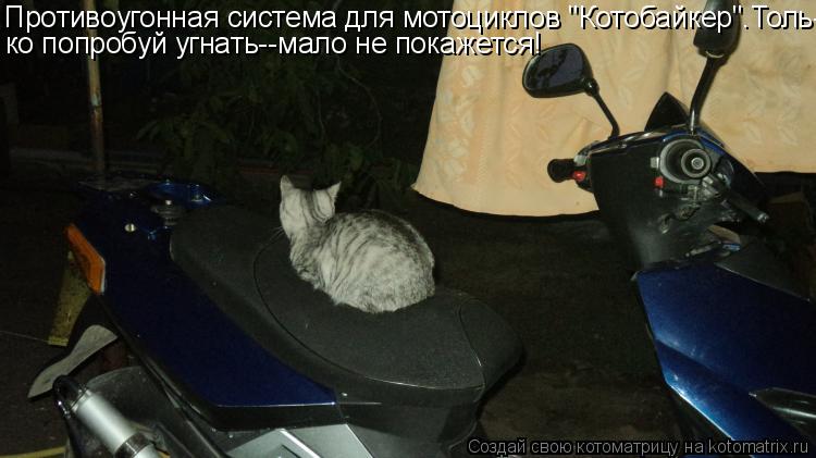 Противоугонная система для мотоциклов "Котобайкер".Толь- ко попробуй угнать--мало не покажется!... Котоматрица: Противоугонная система для мотоциклов "Котобайкер".Толь- ко попробуй угнать--мало не покажется!