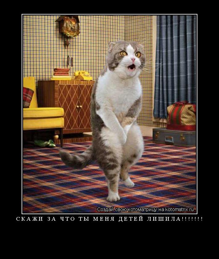 Котоматрица: СКАЖИ ЗА ЧТО ТЫ МЕНЯ ДЕТЕЙ ЛИШИЛА!!!!!!! 