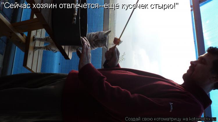 "Сейчас хозяин отвлечётся--ещё кусочек стырю!"... Котоматрица: "Сейчас хозяин отвлечётся--ещё кусочек стырю!"